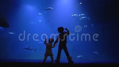 海洋馆，大哥正牵着<strong>小朋友</strong>的手站在大型水族馆附近，在水下世界观看